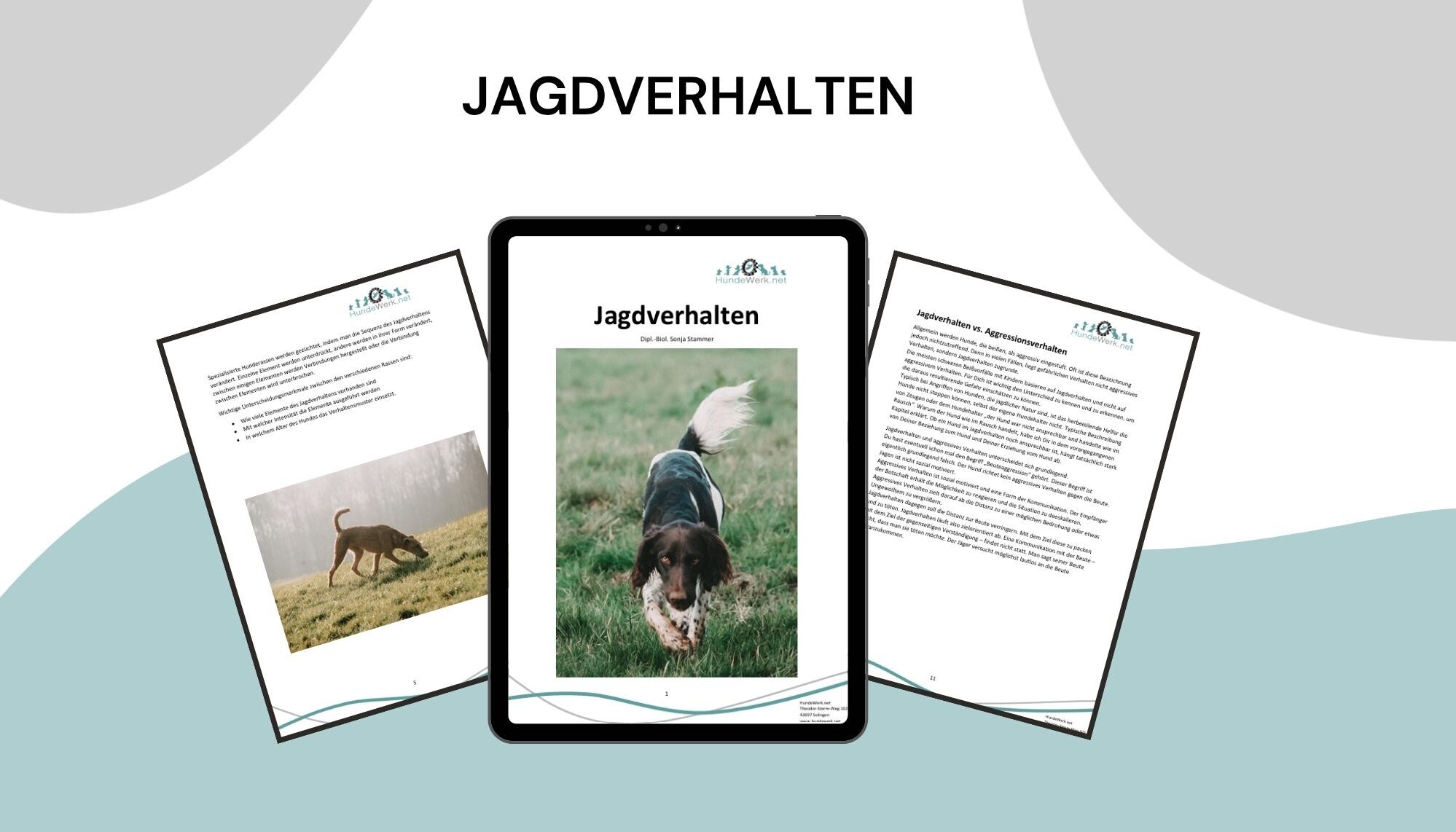 Hund geht jagen, Jagdverhalten