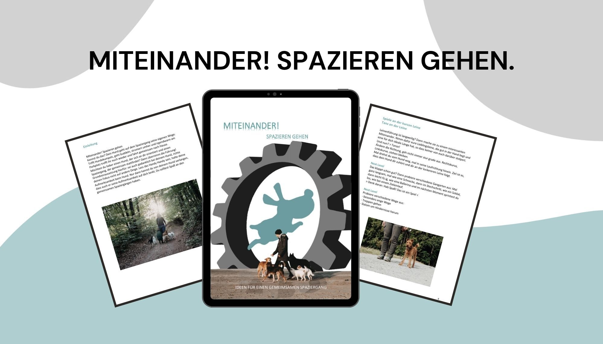 Hundespaziergang gestalten