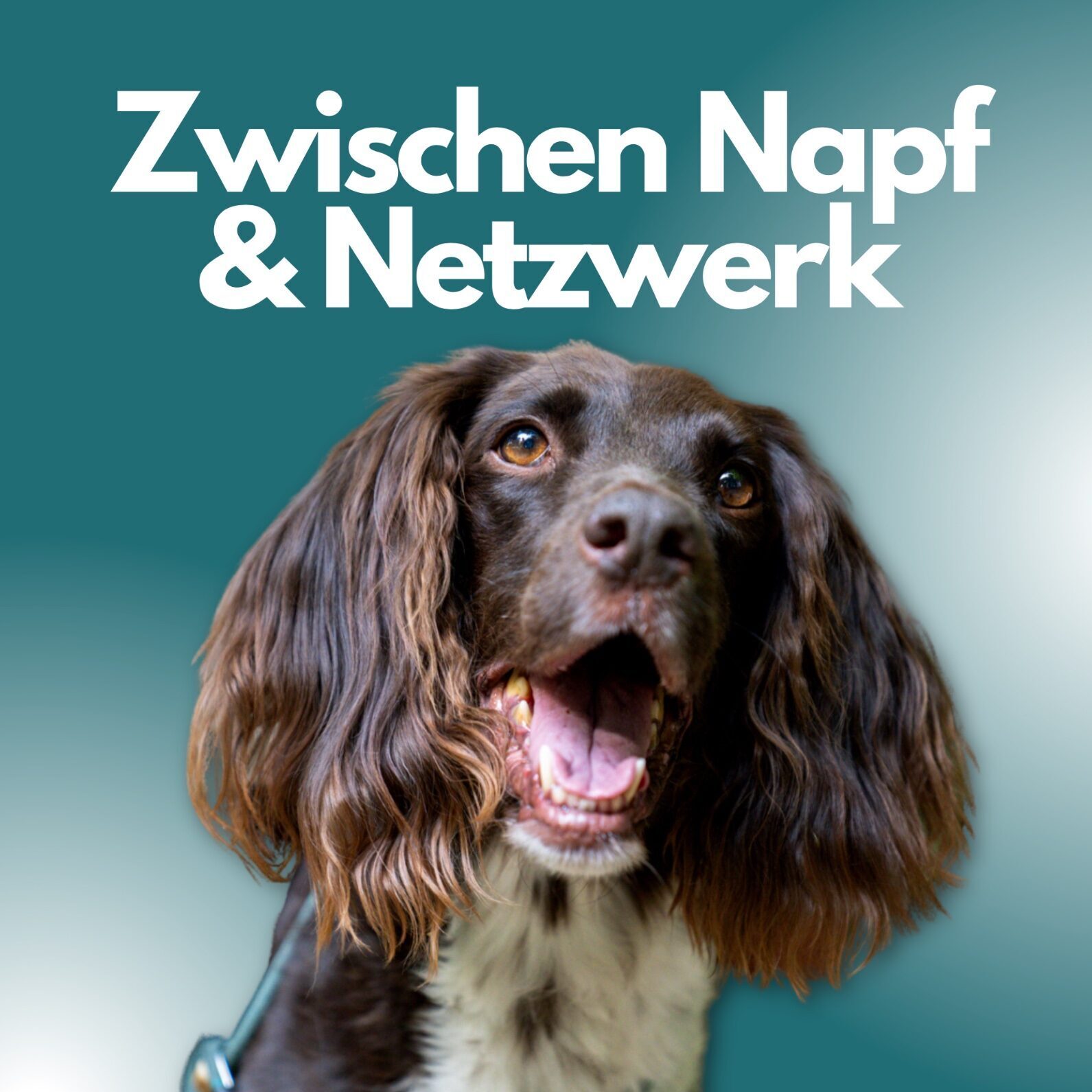 Podcast Zwischen Napf und Netzwerk